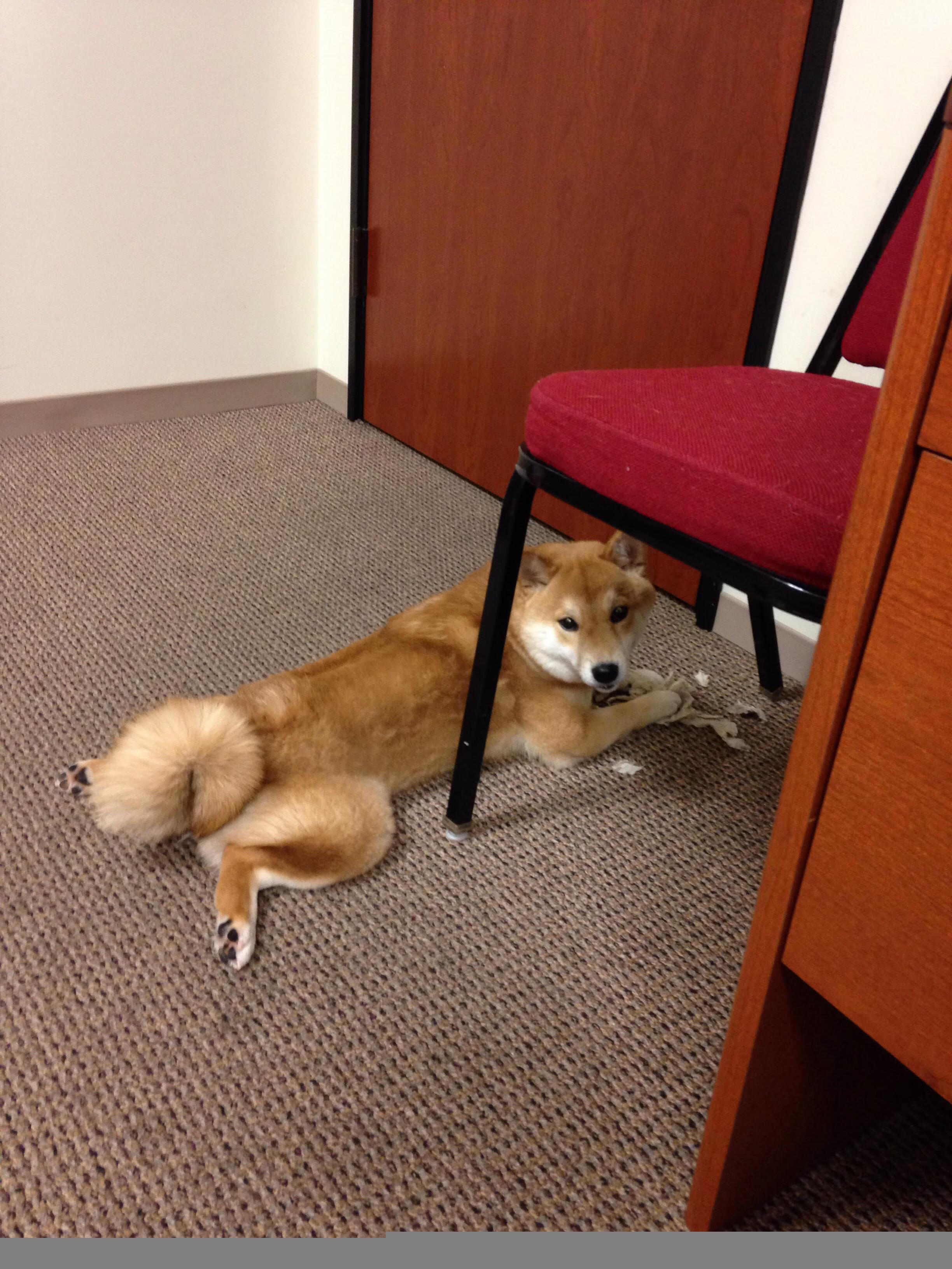 _红土大师赛:泥土场上演技巧与耐力的完美结合_,红土赛场特点