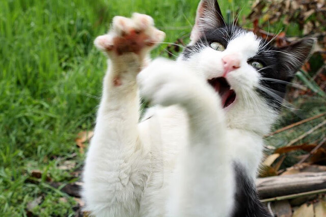 _红土季节:全明星阵容参加各种挑战赛_,红土赛季是什么意思