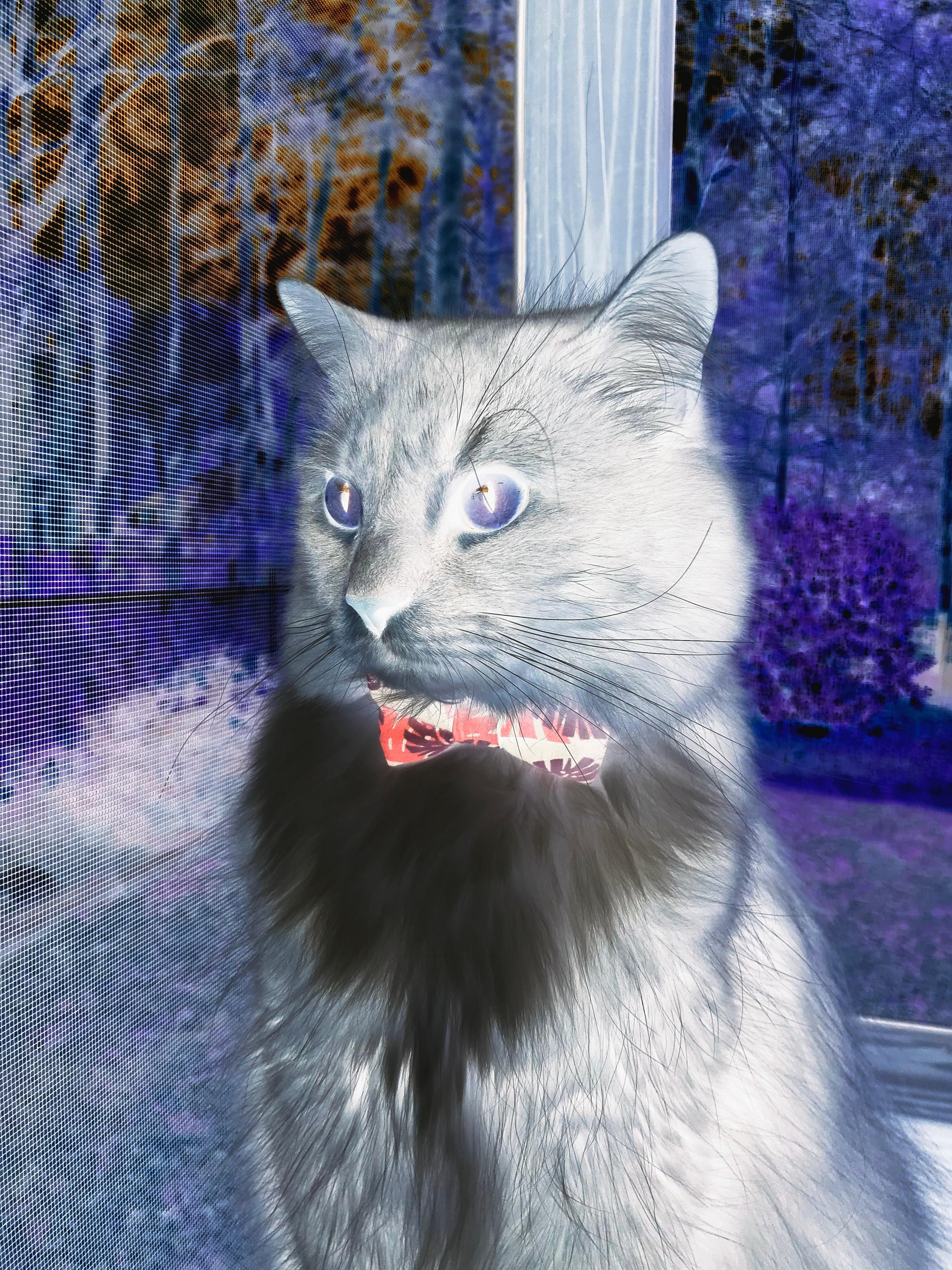 优质青训营地建设步伐加快,青少年培养“提档升级”,青少年训练营营规