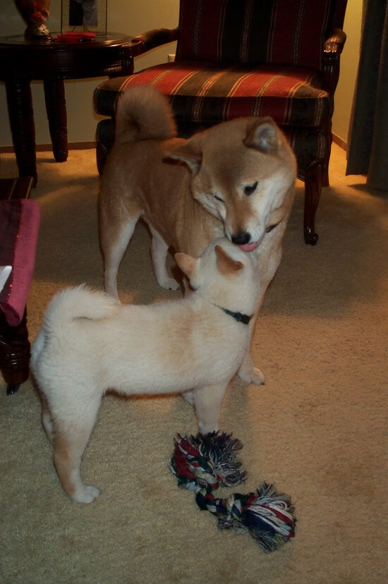 创新战术：哪支球队引领潮流，成未来模范？，创新战术打法