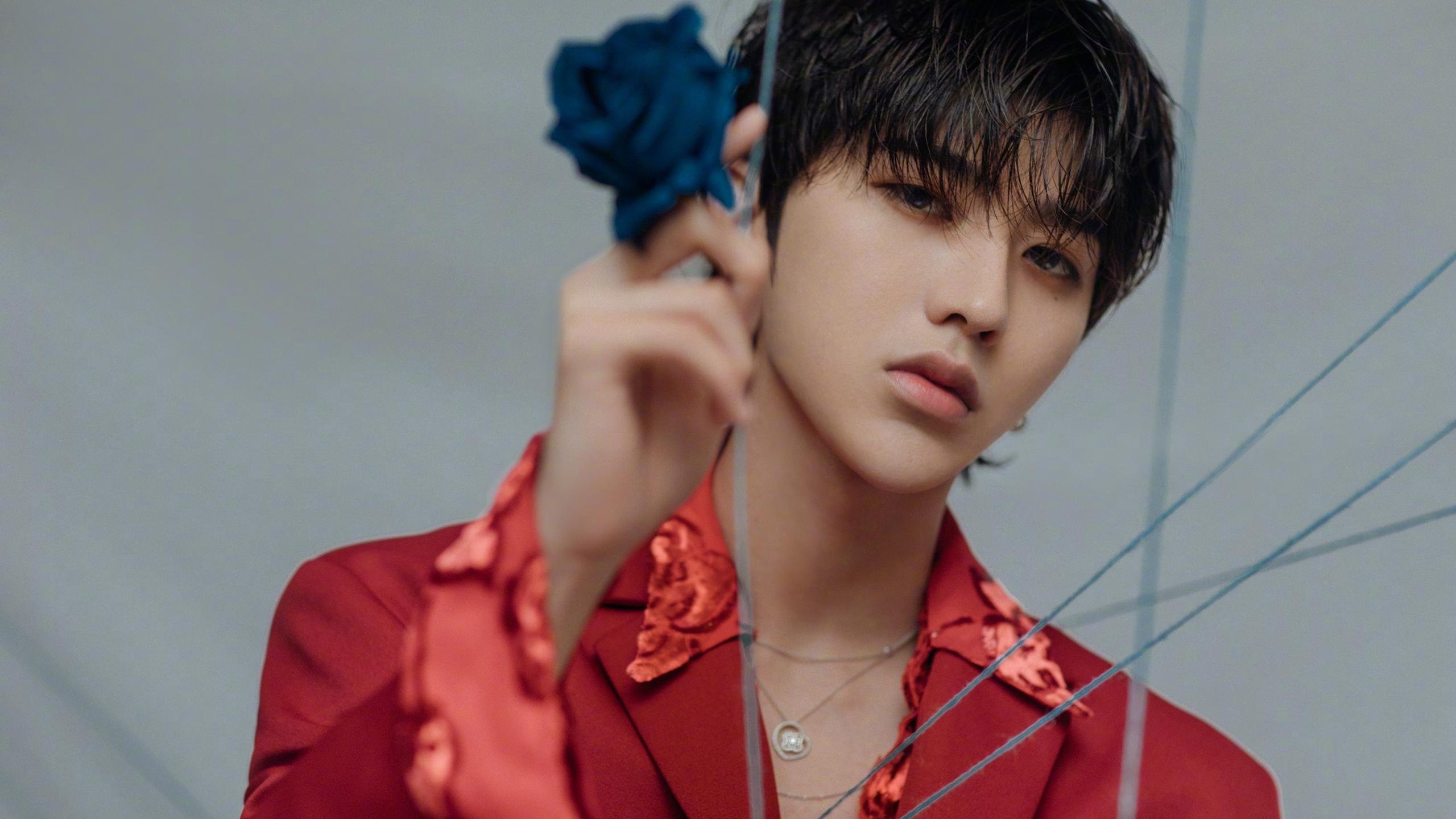 海上帆船赛:风帆扬起的激情,海上帆船绘画