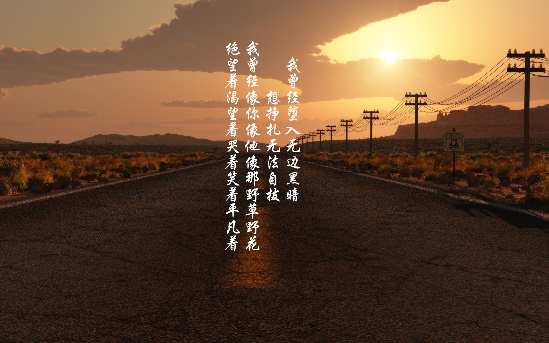 球队文化:不同区域球队的特色与精神风貌,球队文化的具体表现