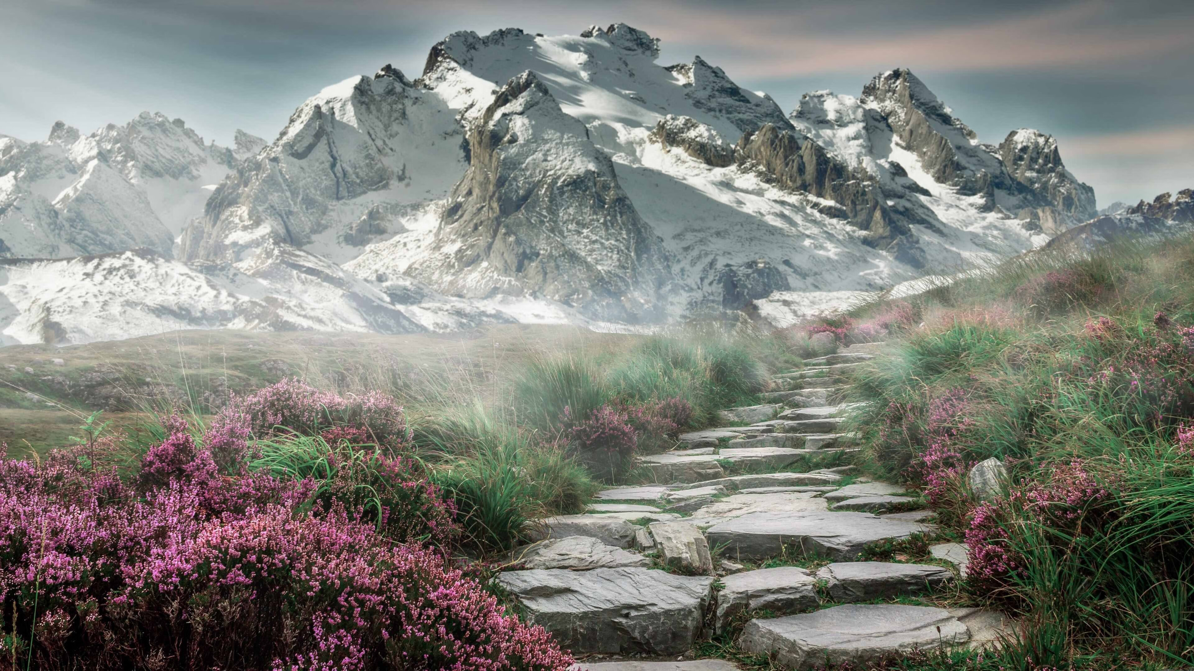 球队文化:如何打造一支具有竞争力的队伍?,球队文化建设