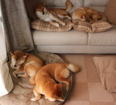 篮球运动员综合体能测试设备普及,篮球运动员测试项目