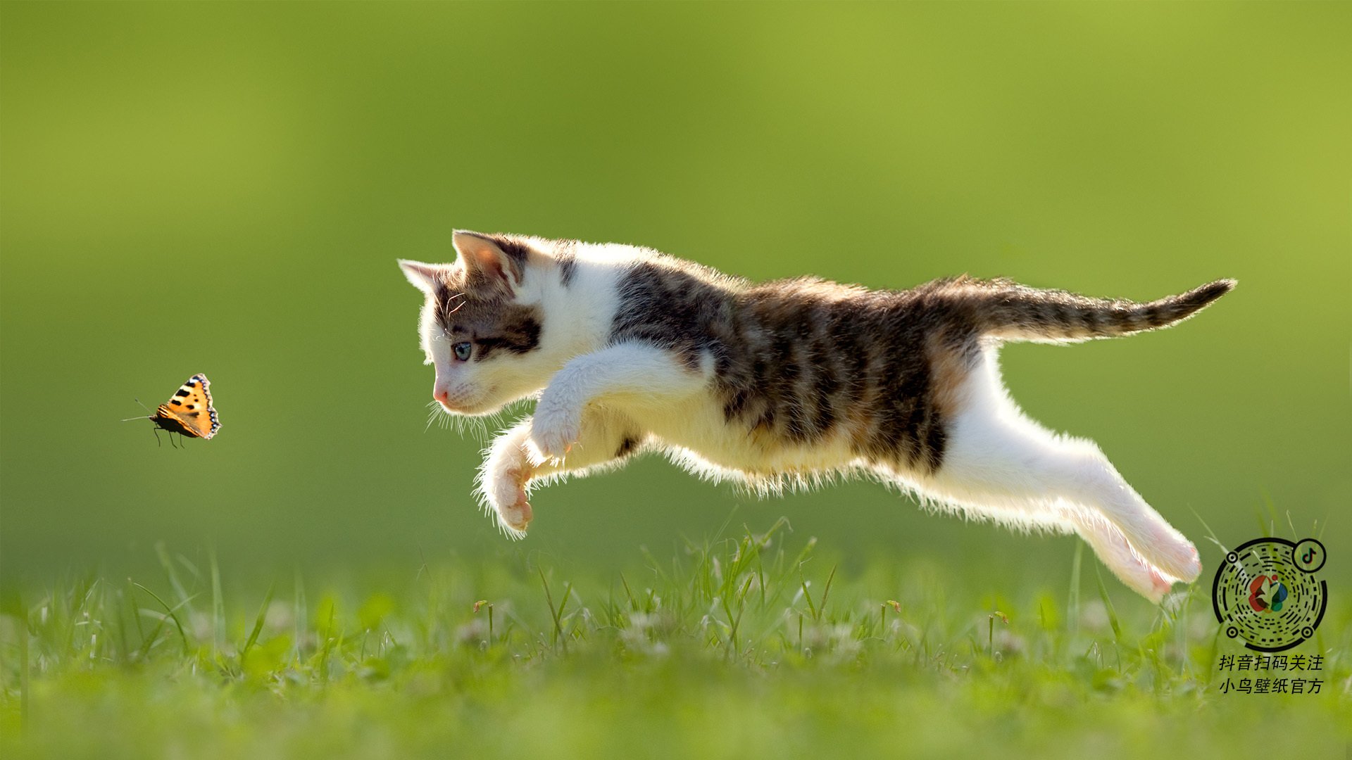 详细阅读:赛季“战术狂潮”:数据分析带来的“新玩法”,战术ai 赛季“战术狂潮”:数据分析带来的“新玩法”,战术ai