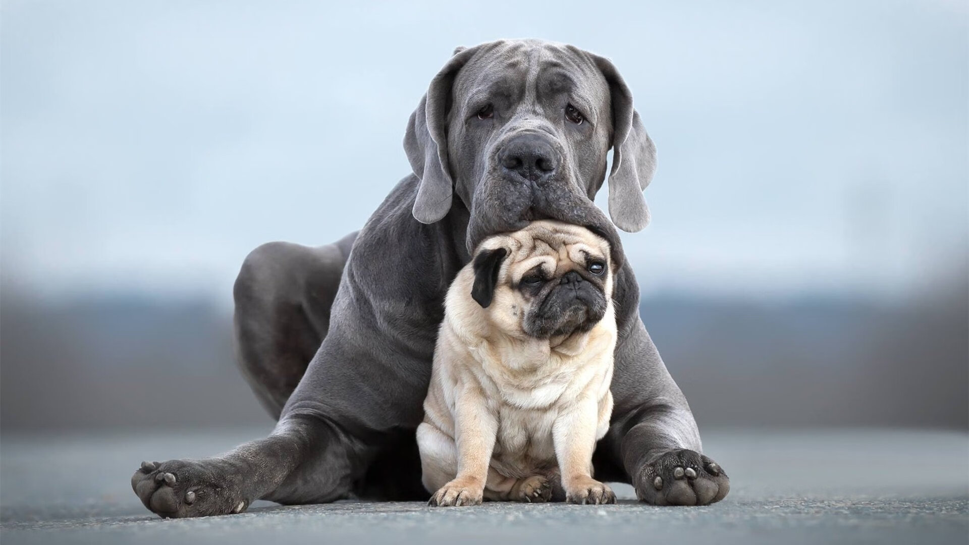 逆境中的奇迹:那些在绝境中逆转的经典比赛,逆境中的奇迹_那些在绝境中逆转的经典比赛是什么