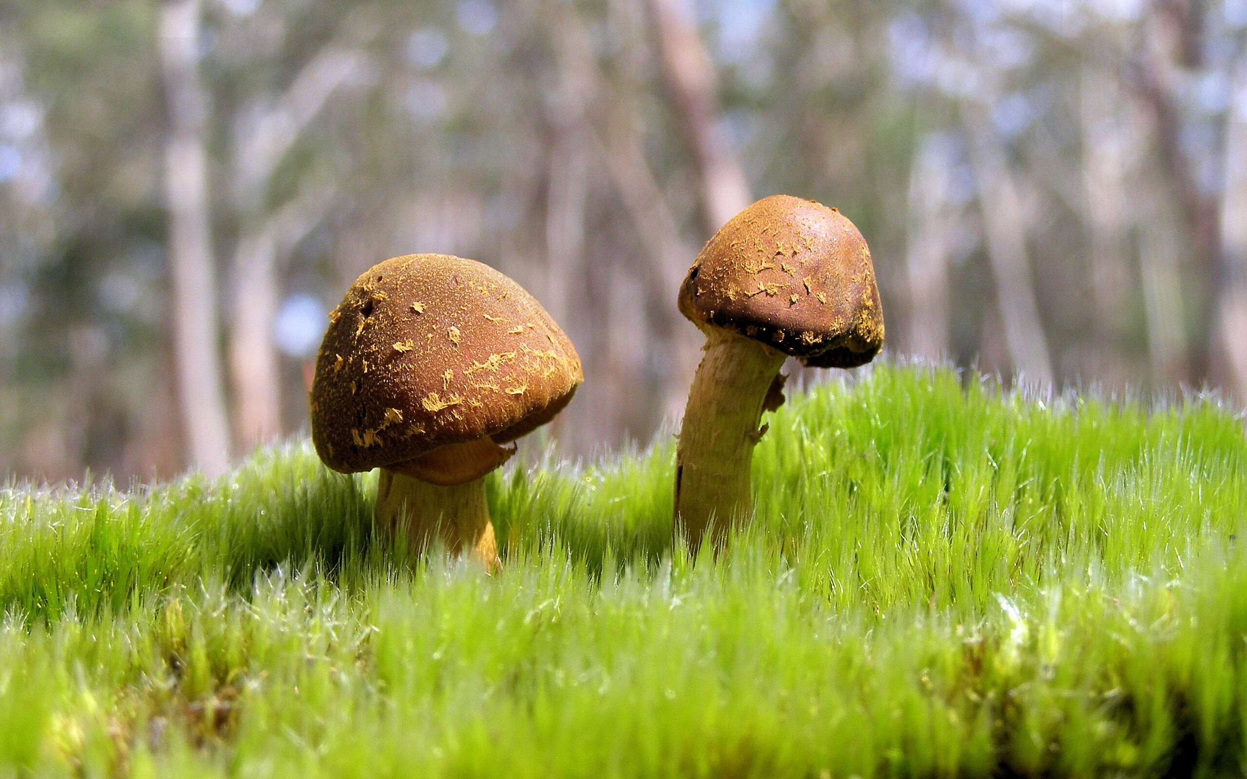 青训“科技人工智能+实战演练”模式开创行业新高地，青少年人工智能夏令营