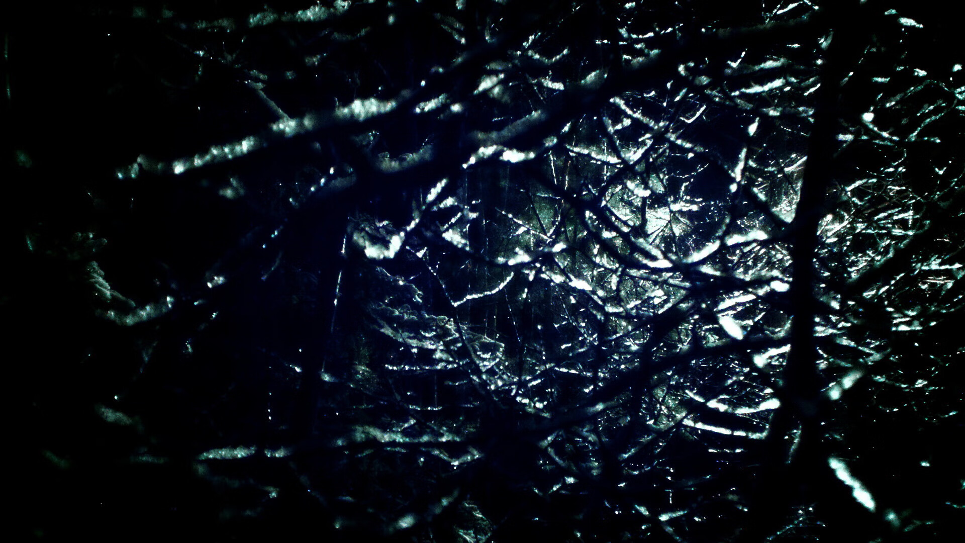 杯赛夺冠新鲜出炉，值得期待，杯赛夺冠新鲜出炉,值得期待吗