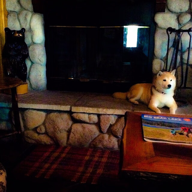 电竞主播内容创新与粉丝互动提升的多元化路径研究,电竞主播的看法