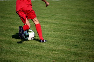 篮球运动员专项体能训练技术与监控体系,篮球体能系统训练计划