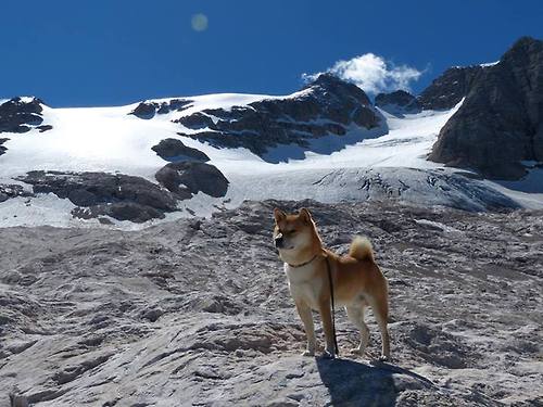 详细阅读:体育新闻中心联合智库发布年度体育传播影响力榜单,体育新闻杂志 体育新闻中心联合智库发布年度体育传播影响力榜单,体育新闻杂志
