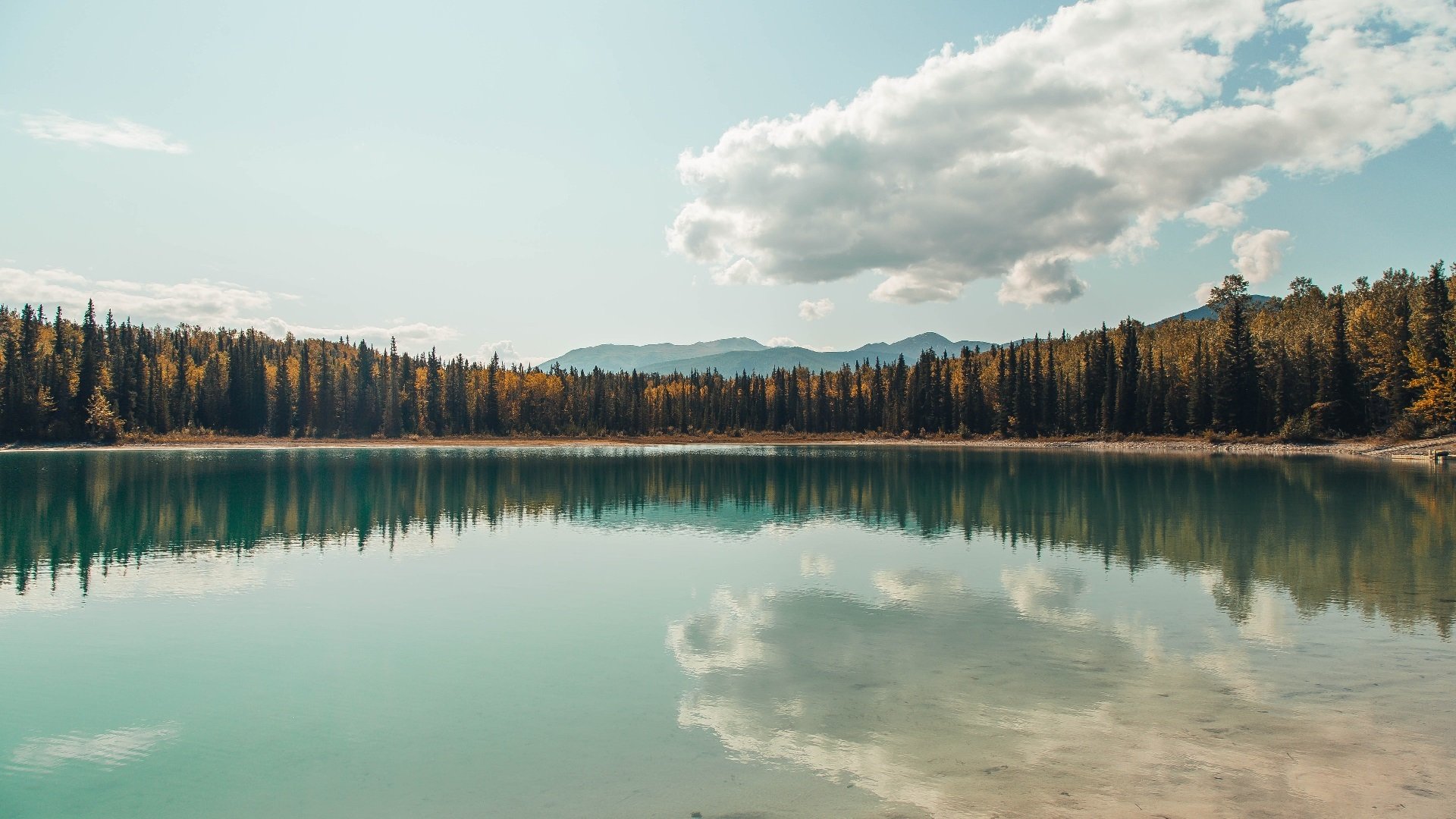 国际乒联引入新技术,提升赛事公平性,国际乒联goat