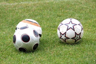 详细阅读:基层足球发展资金紧张,基层足球发展资金紧张的原因 基层足球发展资金紧张,基层足球发展资金紧张的原因