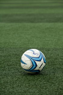 校园足球项目考核标准缺乏可复制性,校园足球项目绩效自评报告