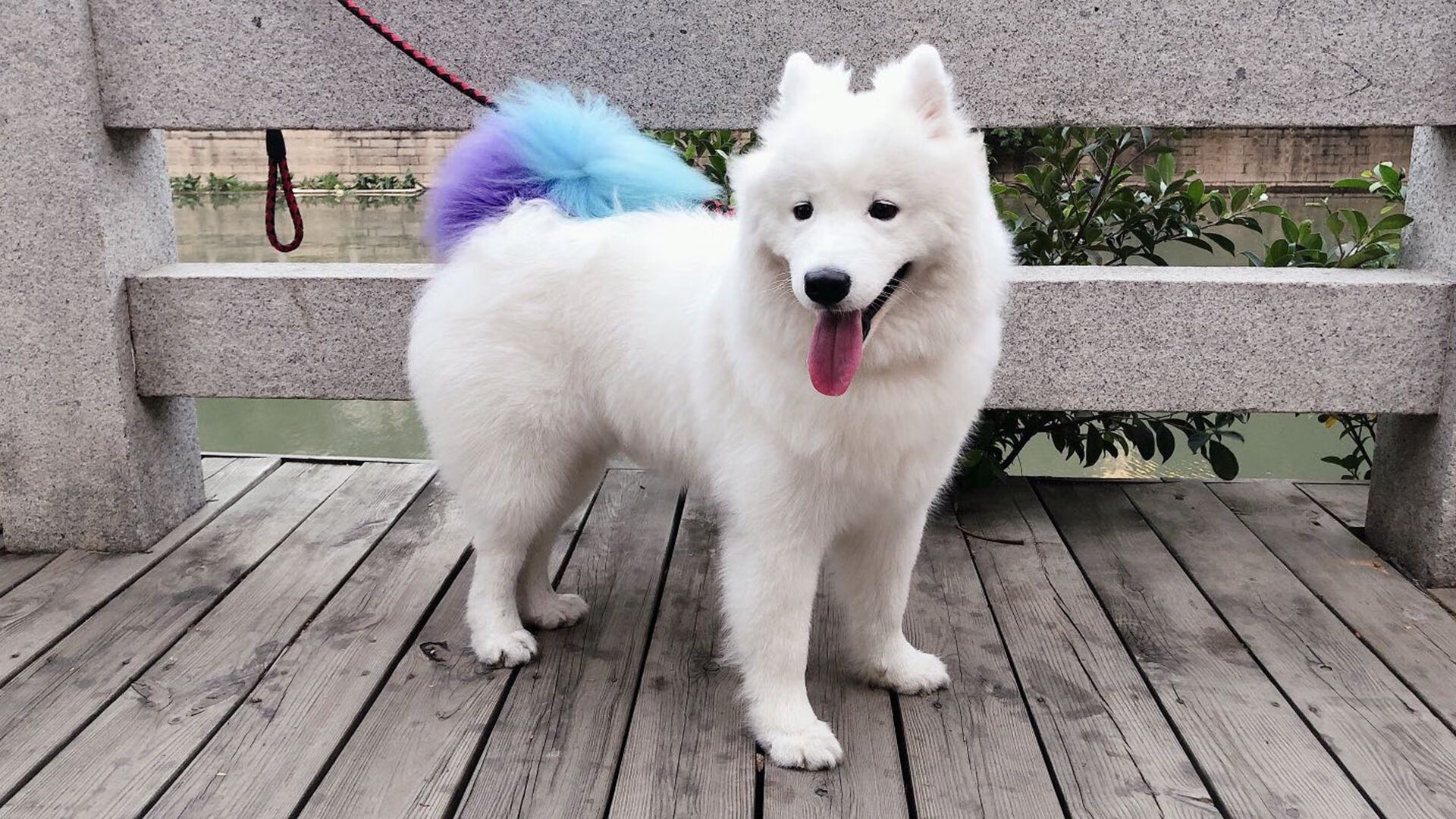 节奏变化是否应成为球队核心轮换时考虑的因素，节奏变化的基本方式