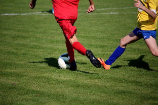 青训球员留学通道缺乏配套扶持政策,青训球队